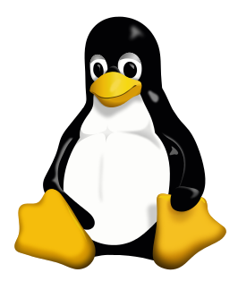 Webhosting met Linux